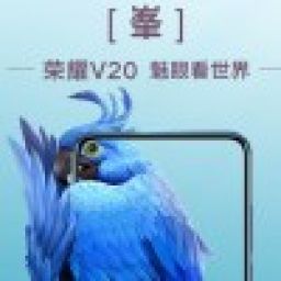 fengxiao988