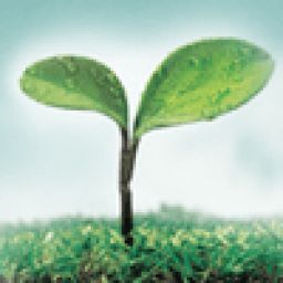 收获每一天