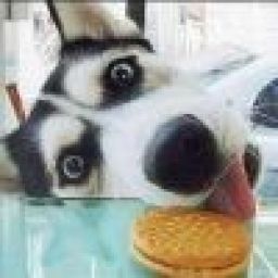 赵三石