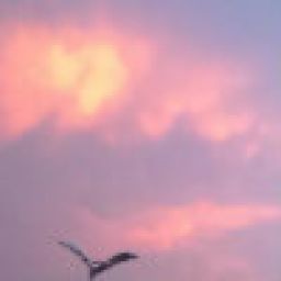 阳光