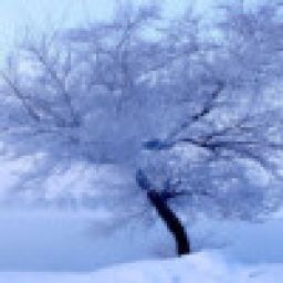 雪火